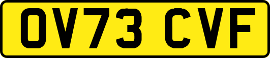 OV73CVF