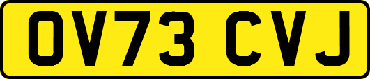 OV73CVJ