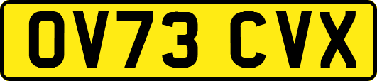 OV73CVX