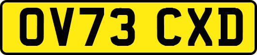 OV73CXD
