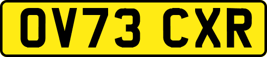 OV73CXR