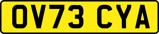 OV73CYA