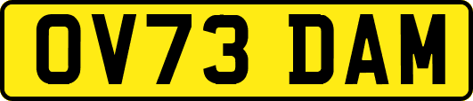 OV73DAM