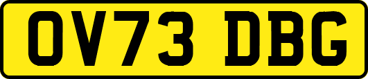 OV73DBG