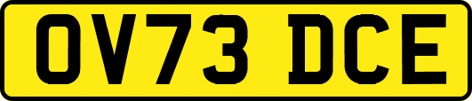 OV73DCE
