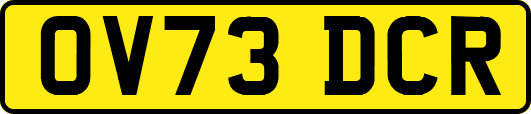 OV73DCR