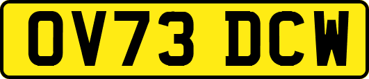 OV73DCW