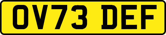 OV73DEF