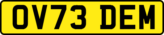 OV73DEM