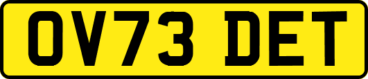 OV73DET