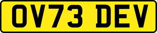 OV73DEV