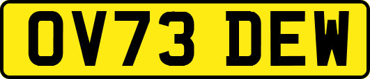 OV73DEW