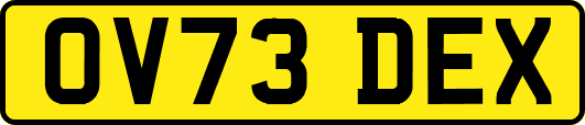 OV73DEX