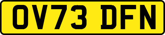 OV73DFN