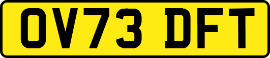 OV73DFT