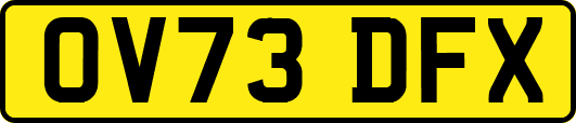 OV73DFX