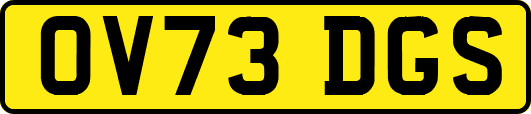 OV73DGS