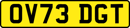 OV73DGT
