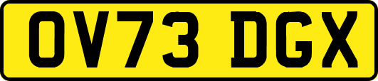 OV73DGX