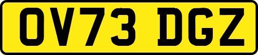 OV73DGZ