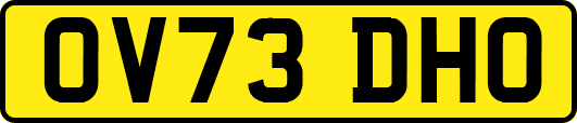 OV73DHO