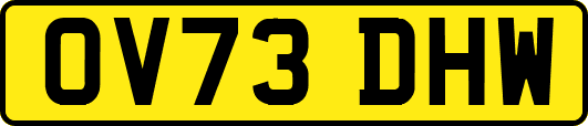 OV73DHW