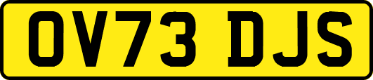 OV73DJS