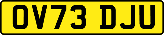 OV73DJU