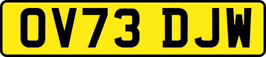 OV73DJW