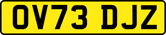 OV73DJZ