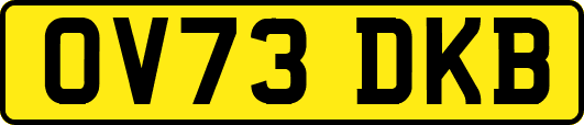 OV73DKB