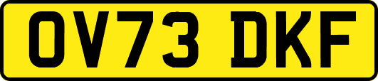 OV73DKF