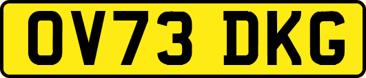 OV73DKG