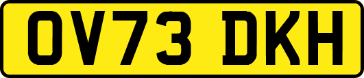 OV73DKH