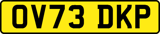 OV73DKP