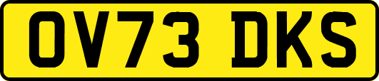 OV73DKS