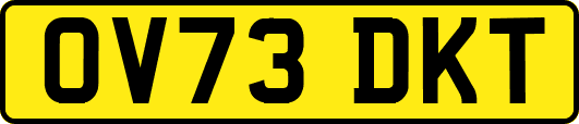 OV73DKT