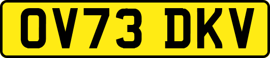 OV73DKV