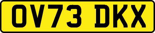 OV73DKX