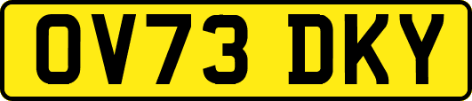 OV73DKY