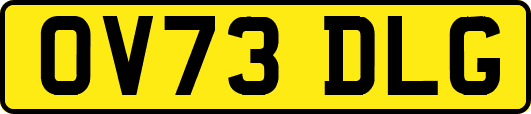 OV73DLG