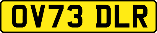 OV73DLR
