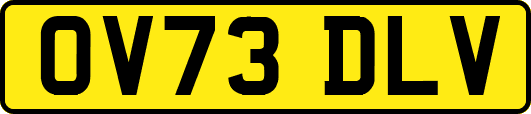 OV73DLV