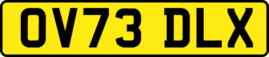 OV73DLX
