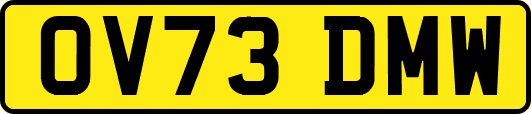 OV73DMW
