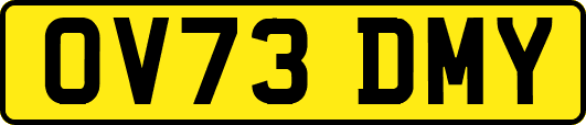 OV73DMY