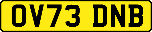 OV73DNB
