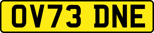 OV73DNE