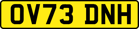 OV73DNH