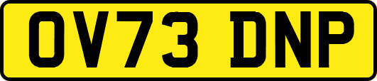 OV73DNP